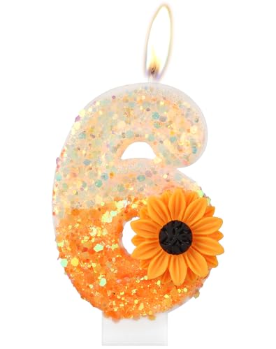 Orange Gänseblümchen Geburtstagskerzen, Orange Geburtstag Zahl 6 Kerzen für Geburtstagskuchen, niedliche Blume 6 Geburtstagskerze, Glitzer-Blumenkerze für Mädchen 6th Geburtstag Party-Dekorationen Orange Gänseblümchen Geburtstagskerzen, Orange Geburtstag Zahl 6 Kerzen für Geburtstagskuchen, niedliche Blume 6 Geburtstagskerze, Glitzer-Blumenkerze für Mädchen 6th Geburtstag Party-Dekorationen von mciskin