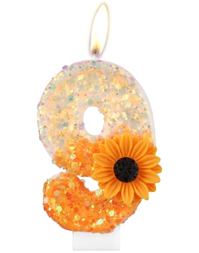 Orange Gänseblümchen Geburtstagskerzen, Orange Geburtstag Zahl 9 Kerzen für Geburtstagskuchen, niedliche Blume 9 Geburtstagskerze, Glitzer-Blumenkerze für Mädchen 9th Geburtstag Party-Dekorationen Orange Gänseblümchen Geburtstagskerzen, Orange Geburtstag Zahl 9 Kerzen für Geburtstagskuchen, niedliche Blume 9 Geburtstagskerze, Glitzer-Blumenkerze für Mädchen 9th Geburtstag Party-Dekorationen von mciskin