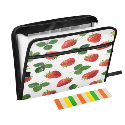 Ordner mit Etiketten, 13 Taschen, A4, Briefgröße mit Reißverschluss, für Schule, Zuhause, Büro, Klassenzimmer, Rot, Erdbeere, Mintgrün, Para Guardar Ordner mit Etiketten, 13 Taschen, A4, Briefgröße mit Reißverschluss, für Schule, Zuhause, Büro, Klassenzimmer, Rot, Erdbeere, Mintgrün, Para Guardar von miaozhen