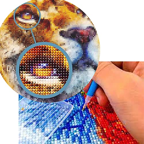 mingpian Diamond Painting Photo Custom Diamond Painting Stift Diamond Painting Katze Diamond Painting Tiere Diamond Painting Eigenes Foto 30x40 mingpian Diamond Painting Photo Custom Diamond Painting Stift Diamond Painting Katze Diamond Painting Tiere Diamond Painting Eigenes Foto 30x40 von mingpian