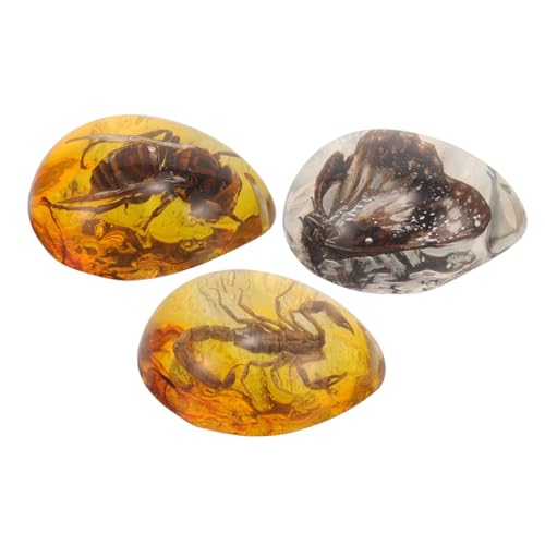 minkissy 3 Stück Teiliges Insekten Bernstein mit Schmetterling und Biene Echtes Harz Ornament für DIY Schmuck Handgefertigte Insekten Dekoration für Insektenliebhaber minkissy 3 Stück Teiliges Insekten Bernstein mit Schmetterling und Biene Echtes Harz Ornament für DIY Schmuck Handgefertigte Insekten Dekoration für Insektenliebhaber von minkissy