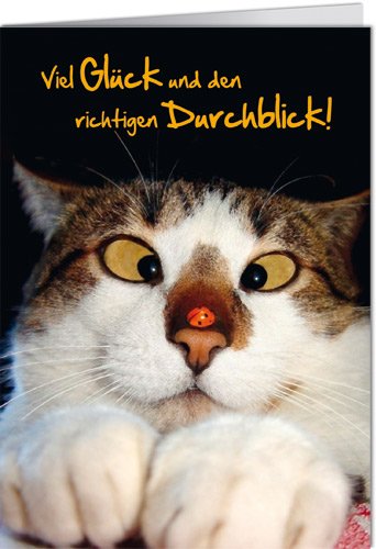 Grußkarte mit Umschlag/Klappkarte LUSTIG - Motiv: DEN RICHTIGEN DURCHBLICK, Anlass:, Künstler/Verlag: ALLERHAND © picture alliance/Everett Collection, Größe: 11,5x16 cm von modern times