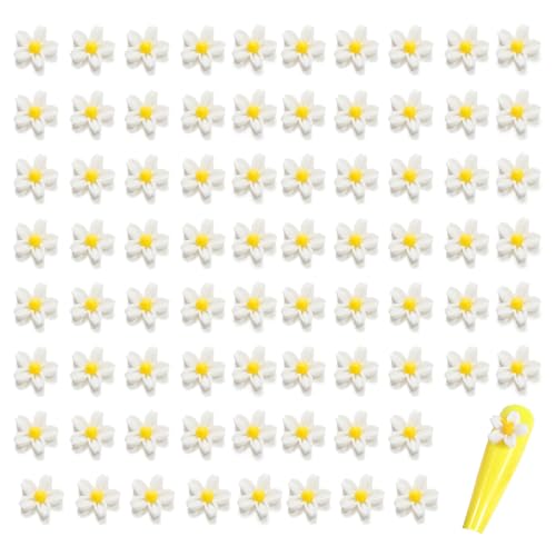 100 Stück flache Rückseite Harz Blumen Verzierungen 5 Blütenblätter Blume Charms Harz Ornamente Blume Handwerk Perlen für Schmuck Kartenherstellung Scrapbooking Nail Art Scrapbooking DIY Dekoration 100 Stück flache Rückseite Harz Blumen Verzierungen 5 Blütenblätter Blume Charms Harz Ornamente Blume Handwerk Perlen für Schmuck Kartenherstellung Scrapbooking Nail Art Scrapbooking DIY Dekoration von mollensiuer