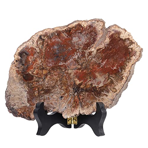 mookaitedecor Natürliche versteinerte Holzplatte mit Holzständer, unregelmäßige Holzscheiben, Tischdekoration für Heimdekoration mookaitedecor Natürliche versteinerte Holzplatte mit Holzständer, unregelmäßige Holzscheiben, Tischdekoration für Heimdekoration von mookaitedecor