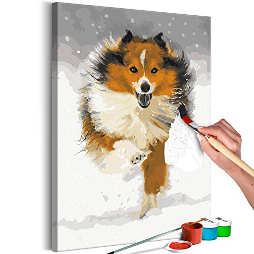 murando - Malen nach Zahlen Hund Tiere Winter Schnee 40x60 cm Malset mit Holzrahmen auf Leinwand für Erwachsene Kinder Gemälde Handgemalt Kit DIY Geschenk Dekoration n-A-1194-d-a von murando