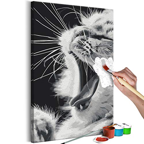 murando - Malen nach Zahlen Katze Tiere Gesicht Bildnis grau 40x60 cm Malset mit Holzrahmen auf Leinwand für Erwachsene Kinder Gemälde Handgemalt Kit DIY Geschenk Dekoration von murando