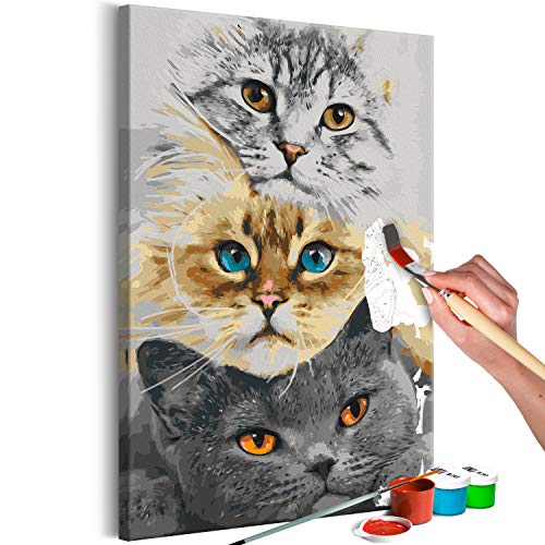 murando - Malen nach Zahlen Katzen Tiere Gesicht Porträt 40x60 cm Malset mit Holzrahmen auf Leinwand für Erwachsene Kinder Gemälde Handgemalt Kit DIY Geschenk Dekoration von murando