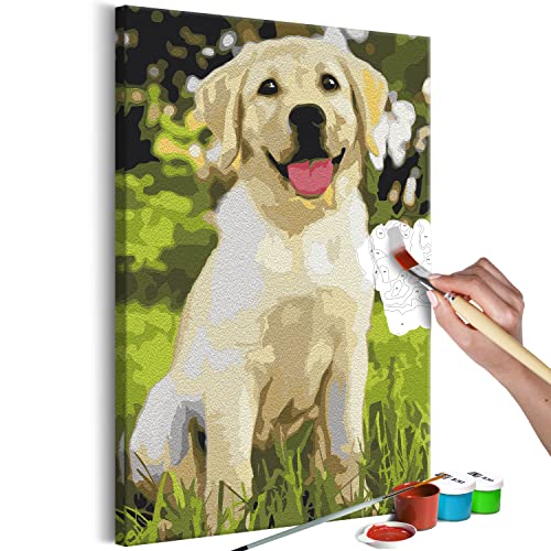 murando - Malen nach Zahlen Landschaft Hund Labrador Tier Park 40x60 cm Malset mit Holzrahmen auf Leinwand für Erwachsene Kinder Gemälde Handgemalt Kit DIY Geschenk Dekoration von murando