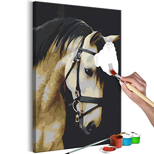 murando - Malen nach Zahlen Pferd Tiere Gesicht Porträt 40x60 cm Malset mit Holzrahmen auf Leinwand für Erwachsene Kinder Gemälde Handgemalt Kit DIY Geschenk Dekoration von murando
