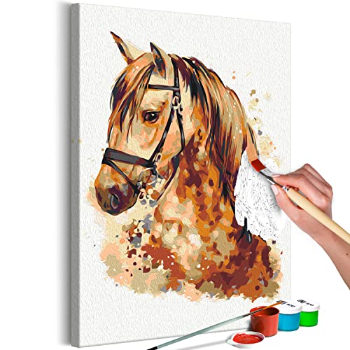 murando - Malen nach Zahlen Pferd Tiere Gesicht Porträt 40x60 cm Malset mit Holzrahmen auf Leinwand für Erwachsene Kinder Gemälde Handgemalt Kit DIY Geschenk g-A-10138-d-a von murando