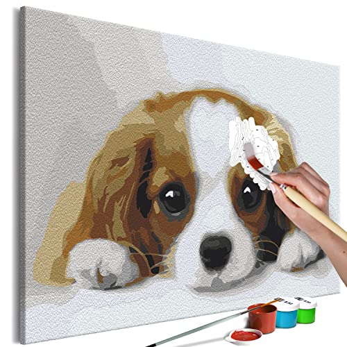 murando - Malen nach Zahlen Welpe Hund Tier Porträt 60x40 cm Malset mit Holzrahmen auf Leinwand für Erwachsene Kinder Gemälde Handgemalt Kit DIY Geschenk Dekoration g-A-10038-d-a von murando