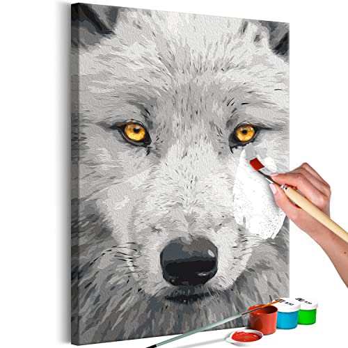 murando - Malen nach Zahlen silver Wolf Tier Waldtiere Porträt 40x60 cm Malset mit Holzrahmen auf Leinwand für Erwachsene Kinder Gemälde Handgemalt Kit DIY Geschenk Dekoration von murando