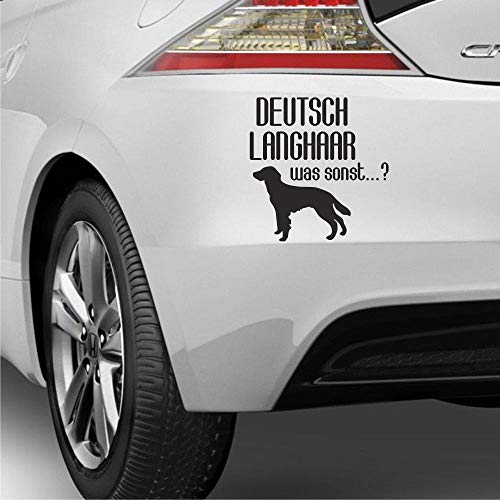 myrockshirt Deutsch Langhaar was sonst?! ca 25cm Hunderassen Hundeliebe Doglover Aufkleber Sticker Hund Hunde myrockshirt Deutsch Langhaar was sonst?! ca 25cm Hunderassen Hundeliebe Doglover Aufkleber Sticker Hund Hunde von myrockshirt