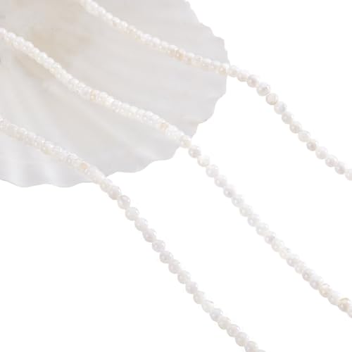 NBEADS 2 Strands Natürliche Süßwasser-Muschelperlen, 2.5mm Weiße Blumenperlenstränge Runde Lose Perlen Für Die Schmuckherstellung, Bohrung: 0.7 mm, ca. 180 Stk./Strang von nbeads