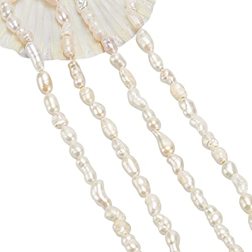 NBEADS Ca. 140 Stück Mini-Süßwasser-Zuchtperlen, 2,5 ~ 3,5 mm, kleine weiße Reisform, lose Süßwasserperlen, Charm-Perlen für Schmuckherstellung, Muschelfarbe, 2 Stränge NBEADS Ca. 140 Stück Mini-Süßwasser-Zuchtperlen, 2,5 ~ 3,5 mm, kleine weiße Reisform, lose Süßwasserperlen, Charm-Perlen für Schmuckherstellung, Muschelfarbe, 2 Stränge von nbeads
