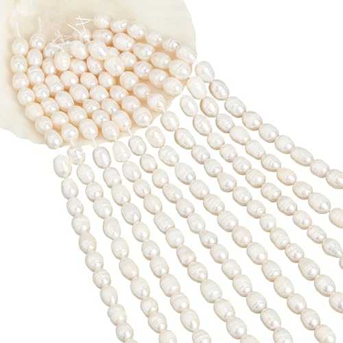NBEADS Ca. 96 Stück Natürliche Süßwasser-Zuchtperlen, 8.5-12mm Süßwasserperlen Rice Shape Lose Zuchtperlen Perlen für DIY Halskette Armband Schmuck Machen, Muschel NBEADS Ca. 96 Stück Natürliche Süßwasser-Zuchtperlen, 8.5-12mm Süßwasserperlen Rice Shape Lose Zuchtperlen Perlen für DIY Halskette Armband Schmuck Machen, Muschel von nbeads
