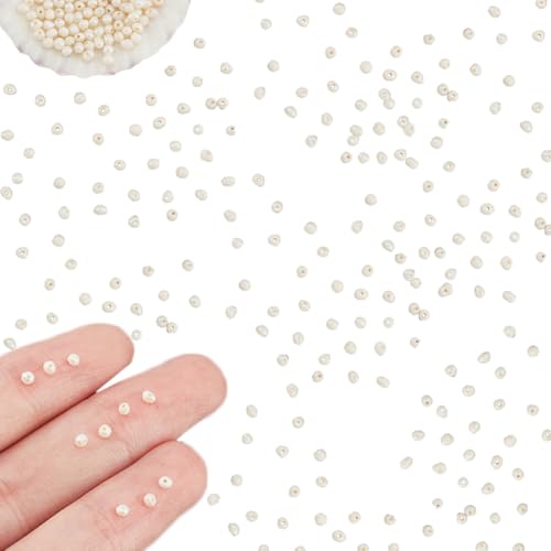 NBEADS ca. 139 Stück kleine natürliche Süßwasser-Zuchtperlen, 1,5 ~ 3 mm, kleine Kartoffelform, weiße Süßwasserperlen, lose runde Perlen, Charms Perlen für Perlenstickerei, Armband, Schmuckherstellung von nbeads