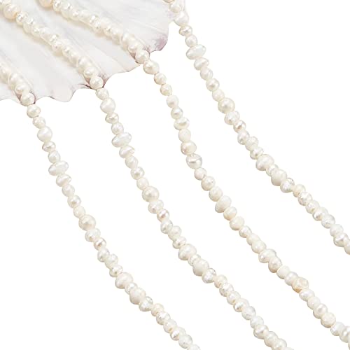 nbeads ca. 155 Stück Mini Natürliche Kultivierte Süßwasserperlen, 1.5-2mm Kleine Süßwasserperlen Reisform Lose Zuchtperlen Perlen für auffädeln Schmuckherstellung von nbeads