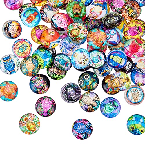 nbeads 100 Stück 50 Stile Eule Bedruckte Glas cabochons 12 mm, Glaskuppel-Cabochons Flatback-Mosaikfliese 12 mm Cabochons Für Die Schmuckherstellung Foto-Anhänger-Einfassungstablett von nbeads