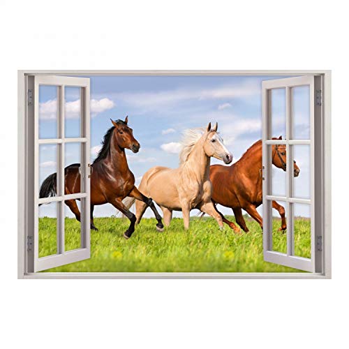 157 Wandtattoo Fenster - Pferde auf Wiese - in 5 Größen - Kinderzimmer Wanddeko Mädchen Wandbild reiten - Größe 1500 x 1000 mm von nikima Schönes für Kinder