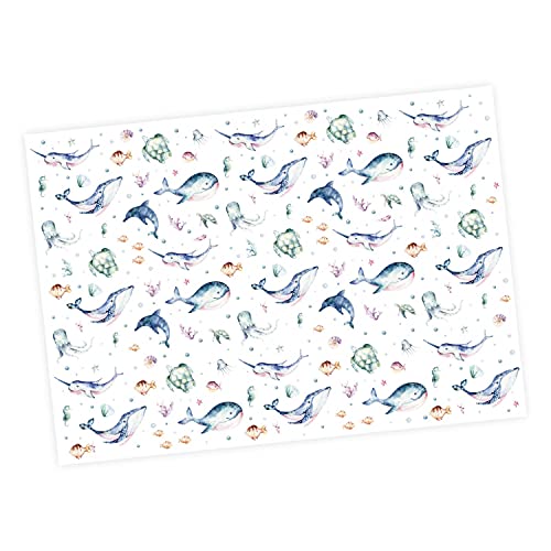 5 Bögen Geschenkpapier Meerestiere bunt Aquarell - 1,60€/qm - 84,1 x 59,4 cm Kinder Geburtstag Mädchen Junge Fische Unterwasser süße Geschenkverpackung von nikima Schönes für Kinder