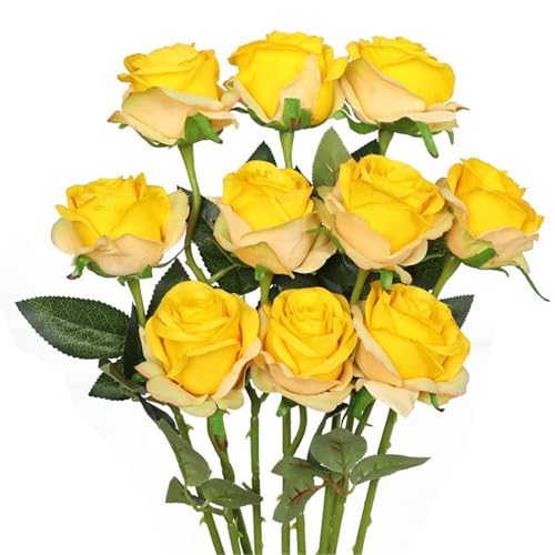 omiinitio Künstliche Seide Rose 10pcs Realistische Für Hochzeitsdekoration Valentinstag Jubiläum Display Arrangement Künstliche Hochzeitsstrauß omiinitio Künstliche Seide Rose 10pcs Realistische Für Hochzeitsdekoration Valentinstag Jubiläum Display Arrangement Künstliche Hochzeitsstrauß von omiinitio