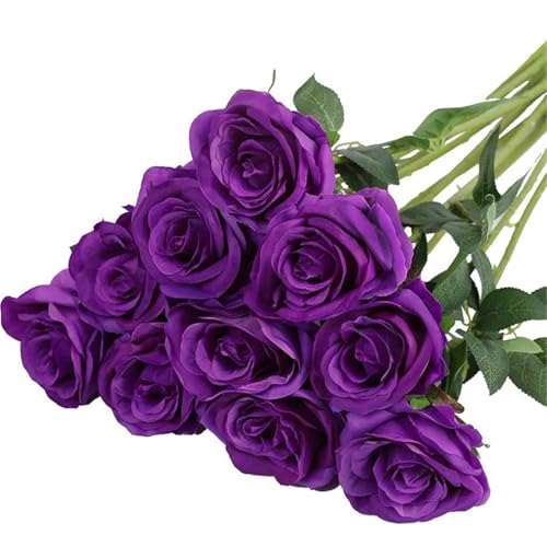 omiinitio Künstliche Seide Rose 10pcs Realistische Für Hochzeitsdekoration Valentinstag Jubiläum Display Arrangement Künstliche Hochzeitsstrauß omiinitio Künstliche Seide Rose 10pcs Realistische Für Hochzeitsdekoration Valentinstag Jubiläum Display Arrangement Künstliche Hochzeitsstrauß von omiinitio