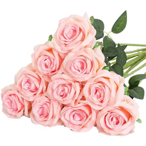 omiinitio Künstliche Seide Rose 10pcs Realistische Für Hochzeitsdekoration Valentinstag Jubiläum Display Arrangement Künstliche Hochzeitsstrauß omiinitio Künstliche Seide Rose 10pcs Realistische Für Hochzeitsdekoration Valentinstag Jubiläum Display Arrangement Künstliche Hochzeitsstrauß von omiinitio