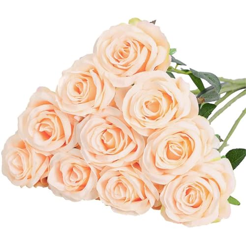 omiinitio Künstliche Seide Rose 10pcs Realistische Für Hochzeitsdekoration Valentinstag Jubiläum Display Arrangement Künstliche Hochzeitsstrauß omiinitio Künstliche Seide Rose 10pcs Realistische Für Hochzeitsdekoration Valentinstag Jubiläum Display Arrangement Künstliche Hochzeitsstrauß von omiinitio