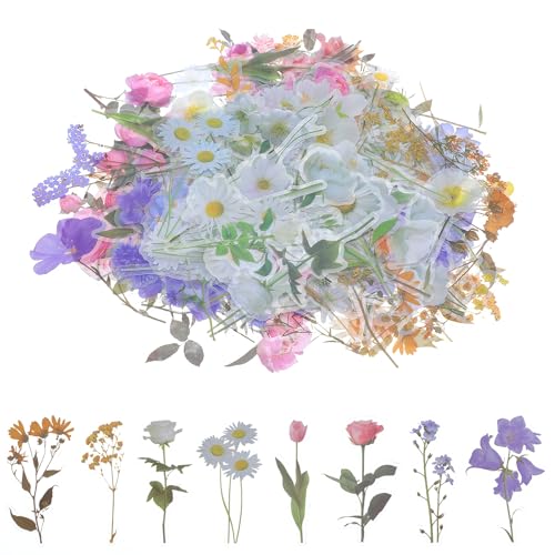 Oruola 160 Stück Sticker Blumen,Transparente Blumen Aufkleber,Blumenaufkleber,Scrapbooking Sticker,Pflanzen Aufkleber,PET Blumensticker für Heimwerker,Planer,Bullet Journals,Fotoalbum Oruola 160 Stück Sticker Blumen,Transparente Blumen Aufkleber,Blumenaufkleber,Scrapbooking Sticker,Pflanzen Aufkleber,PET Blumensticker für Heimwerker,Planer,Bullet Journals,Fotoalbum von oruola