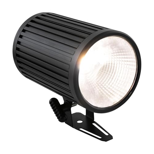 Disco Licht LED Bühnenlicht für Bühne und Outdoor 200W Par-Licht 2x 100W COB Lampen Wasserdicht IP65 3600-5600K 45° Scanwinkel 15-30m Beleuchtung für Partys Hochzeiten von panfudongk