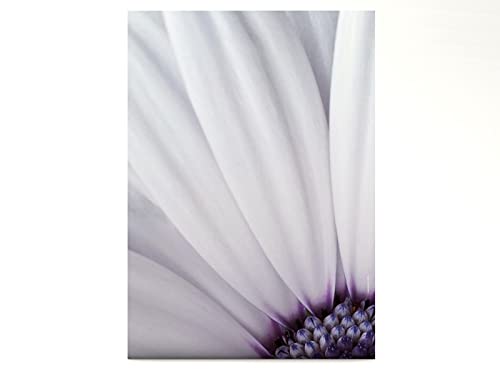 Blume in Pastell Motivpapier Violet Flower, 100 Blatt Briefpapier DIN A4 von paperandpicture.de