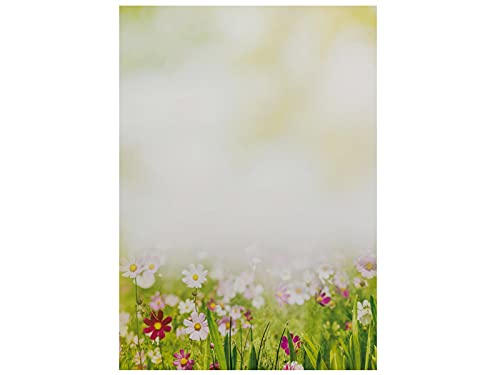 Briefpapier | Sommerwiese | 20 Blatt Blumen Motivpapier DIN A4 von paperandpicture.de