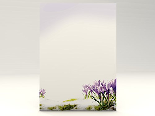 Motivpapier Krokusse, 50 Blatt Motivpapier DIN A4, 90g/qm Motivpapier Krokusse, 50 Blatt Motivpapier DIN A4, 90g/qm von paperandpicture.de