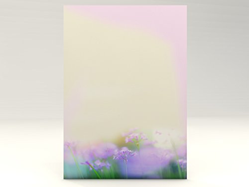 Motivpapier Storchenschnabel Blumen, 100 Blatt Motivpapier DIN A4, 90g/qm Motivpapier Storchenschnabel Blumen, 100 Blatt Motivpapier DIN A4, 90g/qm von paperandpicture.de