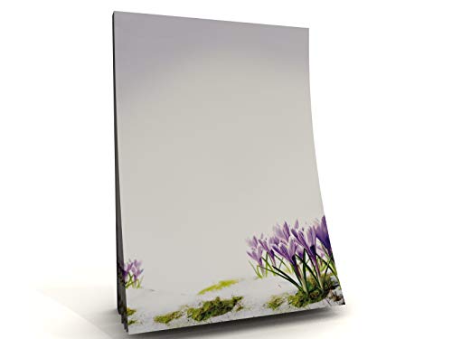 Notizblock A5 | hochwertiger Motivpapier Block | Krokusse | 50 Blatt, 90g/qm | Schreibnotizblock | Notizblock | Schreibblock A5 | Paperandpicture Notizblock A5 | hochwertiger Motivpapier Block | Krokusse | 50 Blatt, 90g/qm | Schreibnotizblock | Notizblock | Schreibblock A5 | Paperandpicture von paperandpicture.de