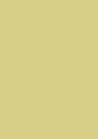 Tonpapier/Tonkarton (48 Farben / A4-21,0 x 29,7 cm - 130 g/m2-10 Blatt) Farbe FREI WÄHLBAR (Gold MATT) von papieto