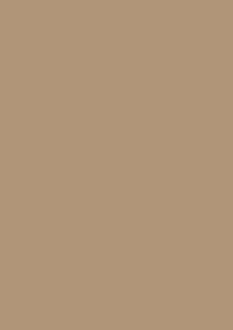 Tonpapier/Tonkarton (48 Farben / A4-21,0 x 29,7 cm - 130 g/m2-10 Blatt) Farbe FREI WÄHLBAR (Hellbraun) von papieto