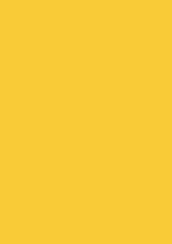 Tonpapier/Tonkarton (48 Farben / A4-21,0 x 29,7 cm - 130 g/m2-10 Blatt) Farbe FREI WÄHLBAR (Mango) von papieto