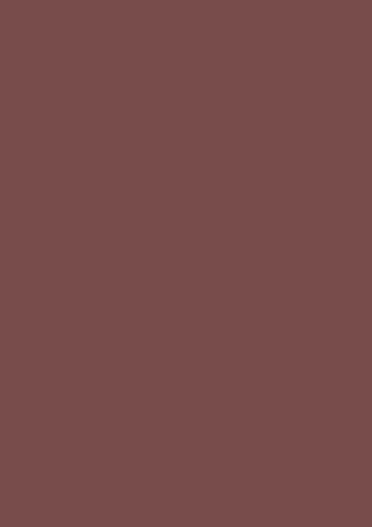 Tonpapier/Tonkarton (48 Farben / A4-21,0 x 29,7 cm - 130 g/m2-10 Blatt) Farbe FREI WÄHLBAR (Schokobraun) von papieto