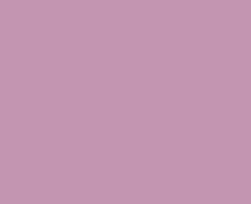 papieto Wachsplatten/Verzierwachs UNIFARBEN (175 x 80 x 0,5 mm / 2 Stück - 39 Farben) Farbe FREI WÄHLBAR (Altrosa) von papieto
