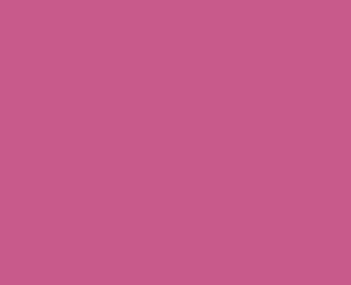 papieto Wachsplatten/Verzierwachs UNIFARBEN (175 x 80 x 0,5 mm / 2 Stück - 39 Farben) Farbe FREI WÄHLBAR (Fuchsia) von papieto
