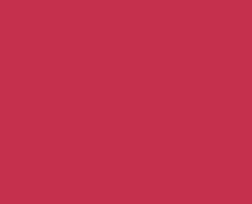 papieto Wachsplatten/Verzierwachs UNIFARBEN (175 x 80 x 0,5 mm / 2 Stück - 39 Farben) Farbe FREI WÄHLBAR (HELLROT) von papieto