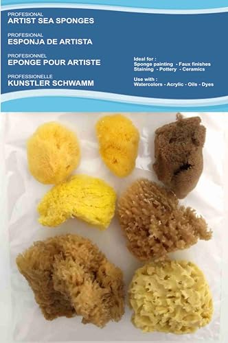 Natürliche Meeresschwämme für Künstler, 7 Stück, für Kunst und Handwerk, Farbe, Hobbys, Effekte, Keramik, Keramik, Dekorieren, Schwämmen, feine Kunst, feine bis breite Textur, Größen 4,8 - 7 m Natürliche Meeresschwämme für Künstler, 7 Stück, für Kunst und Handwerk, Farbe, Hobbys, Effekte, Keramik, Keramik, Dekorieren, Schwämmen, feine Kunst, feine bis breite Textur, Größen 4,8 - 7 m von pasiphae natural skin care & sea sponges