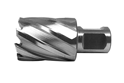 PAULIMOT HSS-Kernbohrer mit Bohrtiefe 30 mm, Ø 31 mm PAULIMOT HSS-Kernbohrer mit Bohrtiefe 30 mm, Ø 31 mm von paulimot