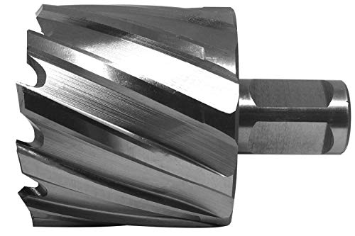 PAULIMOT HSS-Kernbohrer mit Bohrtiefe 30 mm, Ø 60 mm von paulimot
