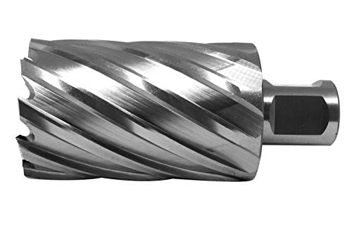 PAULIMOT HSS-Kernbohrer mit Bohrtiefe 55 mm, Ø 45 mm von paulimot