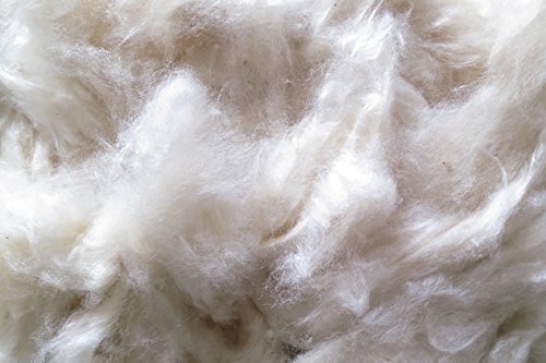 Füllwatte aus 100 % Kapok Watte, beige, 5 kg, sehr fein, (EUR 12,90/kg), kompostierbar, waschbar, Bastelwatte, geeignet als natürliches und nachhaltiges Füllmaterial für z.B. Plüschtiere, Puppen von pemmiproducts