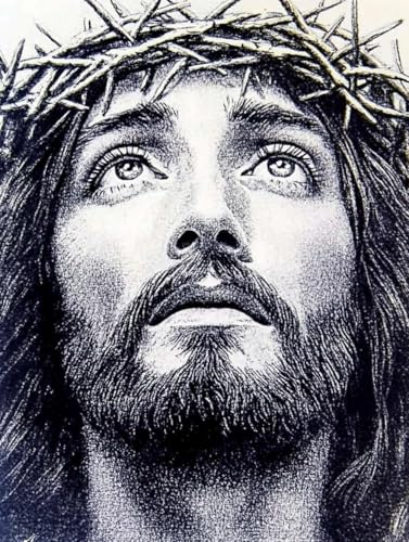 pigpigboss Jesus Diamant Malen nach Zahlen 5D Full Diamond Painting Kits Religiöse Jesus Diamant Malerei Punkte Kit Kunst Handwerk Heimdekoration Geschenk (30 x 39,9 cm) von pigpigboss