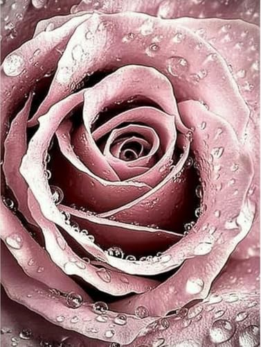 pigpigboss Pink Rose Diamond Painting Kit 5D Full Diamond Painting by Numbers Flower Diamond Painting Dots Kit Waterdrop Rose Painting Arts Crafts for Adults Beginner Home Decor (30.0 cmx39.9 cm) von pigpigboss